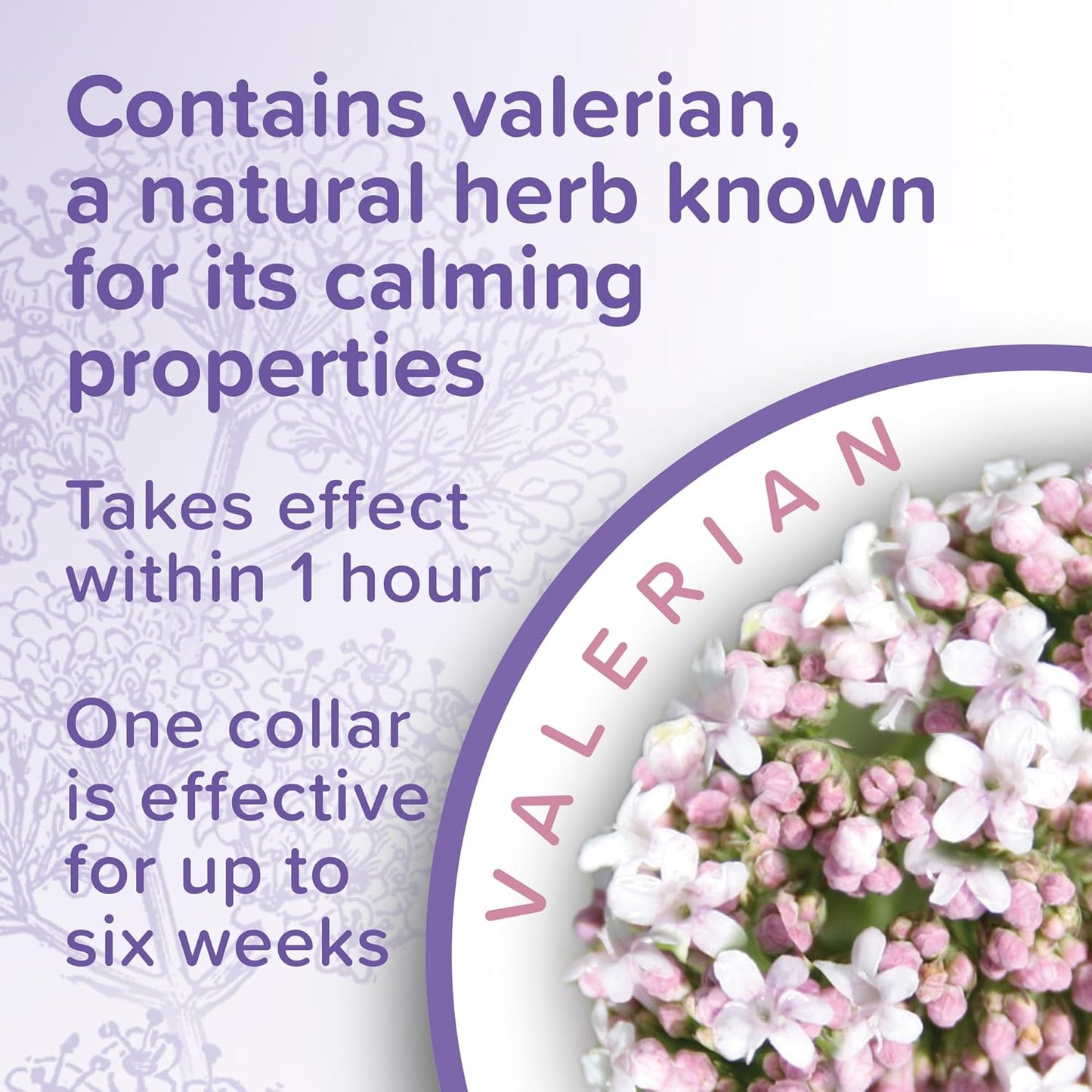 - Herbal Calming Collar - for Dogs - for Fireworks, Thunderstorms, Car Travel & Long-Term Stress - Contains the Natural Herb Valerian - up to 6 Weeks of Calming - 1X Adjustable 65Cm Collar